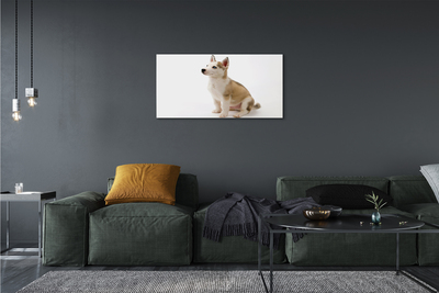 Slika na platnu Sedenje majhen pes