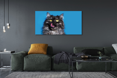 Slika na platnu Oblizujący mačka