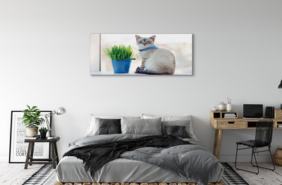 Slika na platnu Sedi mačka