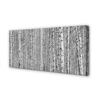 Slika na platnu Črno-belo drevo gozd