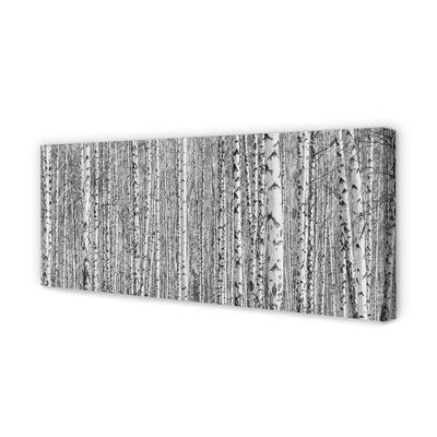 Slika na platnu Črno-belo drevo gozd
