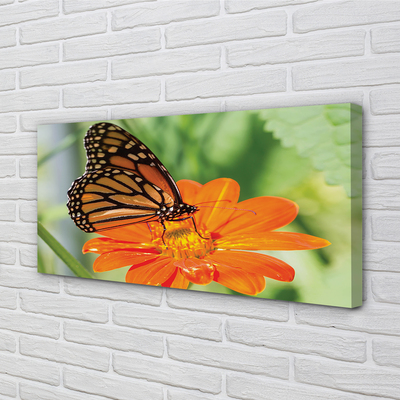 Slika na platnu Flower pisane metulj