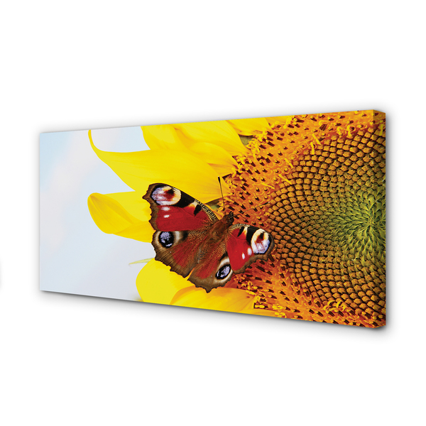 Slika na platnu Sončnično metulj