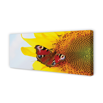 Slika na platnu Sončnično metulj