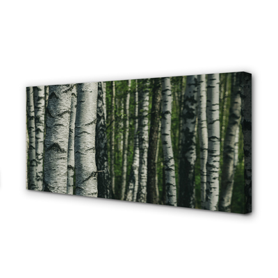 Slika na platnu Breza gozd