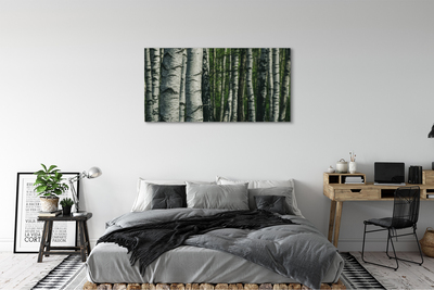 Slika na platnu Breza gozd