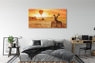 Slika na platnu Baloni nebo žirafa