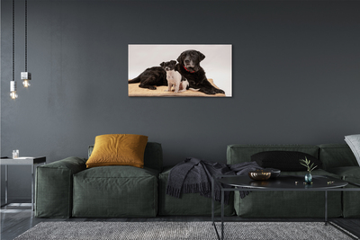 Slika na platnu Ležijo psi