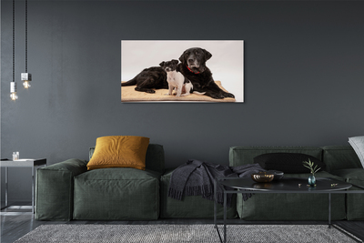 Slika na platnu Ležijo psi