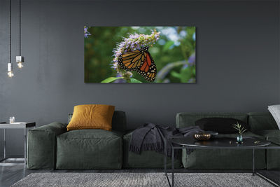 Slika na platnu Flower pisane metulj