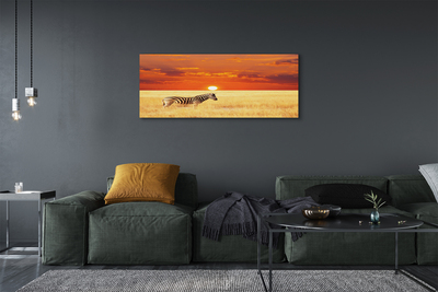 Slika na platnu Zebra polje sunset