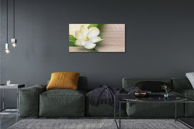 Slika na platnu Bele magnolije