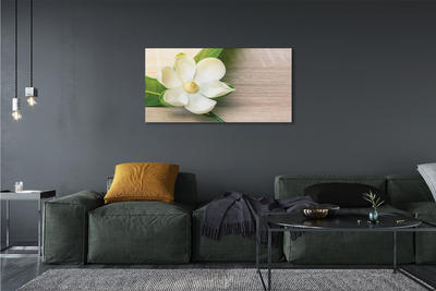 Slika na platnu Bele magnolije