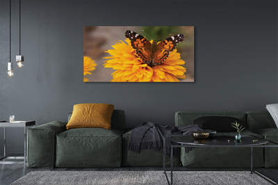 Slika na platnu Pisani metulj cvet