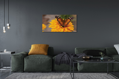 Slika na platnu Pisani metulj cvet