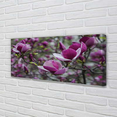 Slika na platnu Vijolična magnolija