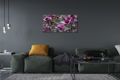 Slika na platnu Vijolična magnolija