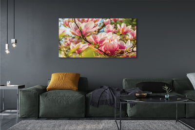 Slika na platnu Roza magnolija