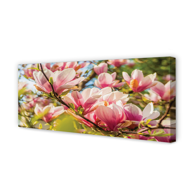 Slika na platnu Roza magnolija