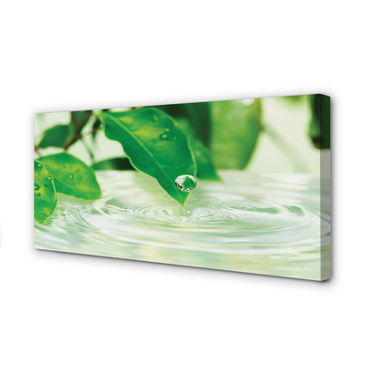 Slika na platnu Kapljice listi vodo