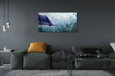 Slika na platnu Krovne dež kapljic