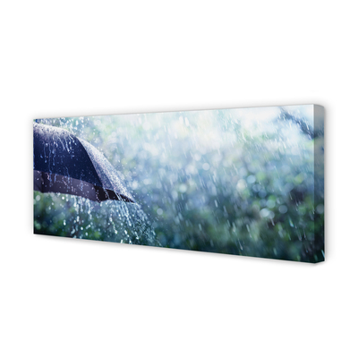 Slika na platnu Krovne dež kapljic
