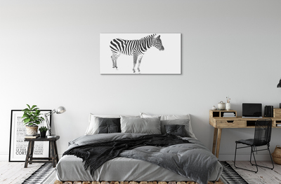 Slika na platnu Poslikano zebra