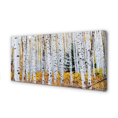 Slika na platnu Jesen breza