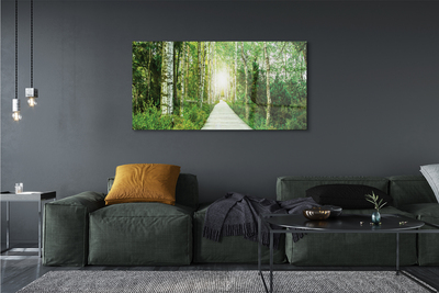 Slika na platnu Breza drevo gozdna cesta