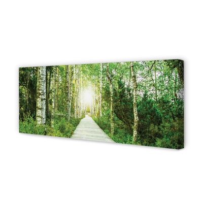 Slika na platnu Breza drevo gozdna cesta