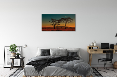 Slika na platnu Nebo drevo