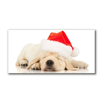 Slika na platnu Puppy Cap Santa Claus Zima