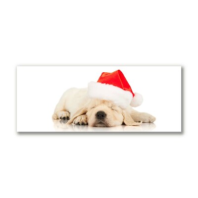 Slika na platnu Puppy Cap Santa Claus Zima