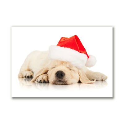 Slika na platnu Puppy Cap Santa Claus Zima