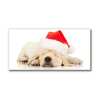 Slika na platnu Puppy Cap Santa Claus Zima