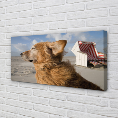 Slika na platnu Brown pes na plaži