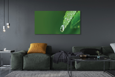Slika na platnu Vodni padec leaf