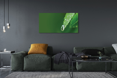 Slika na platnu Vodni padec leaf