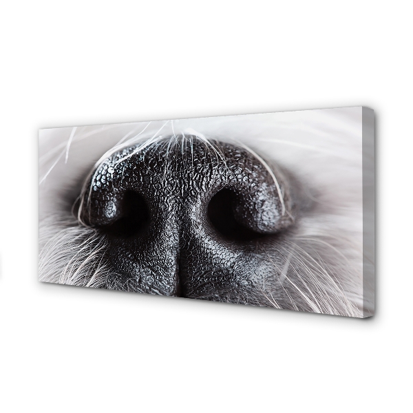 Slika na platnu Psu nos