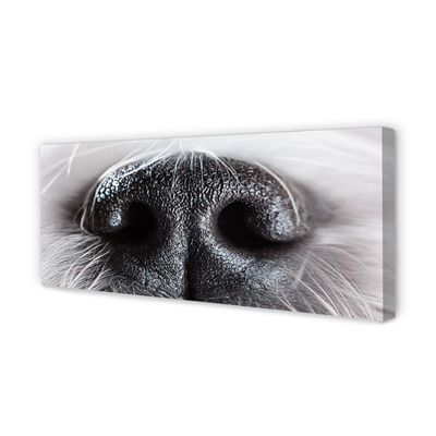 Slika na platnu Psu nos