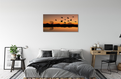 Slika na platnu Flying ptice sunset