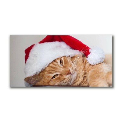 Slika na platnu Cat Cap Santa Claus