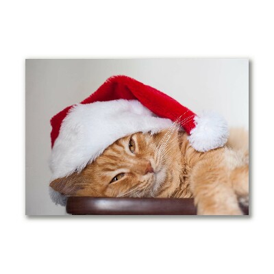 Slika na platnu Cat Cap Santa Claus