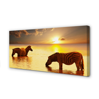 Slika na platnu Zebras voda sončni zahod