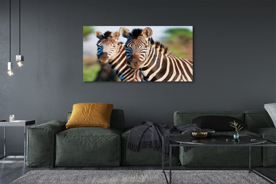 Slika na platnu Zebra