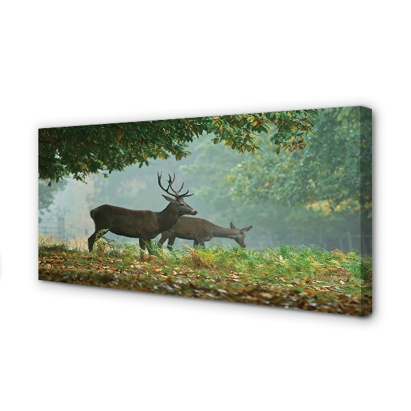 Slika na platnu Deer jesenski gozd