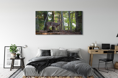 Slika na platnu Jelen gozd