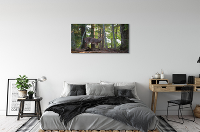 Slika na platnu Jelen gozd