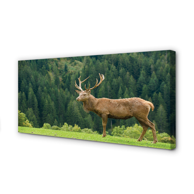 Slika na platnu Deer na področju