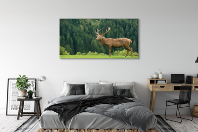 Slika na platnu Deer na področju